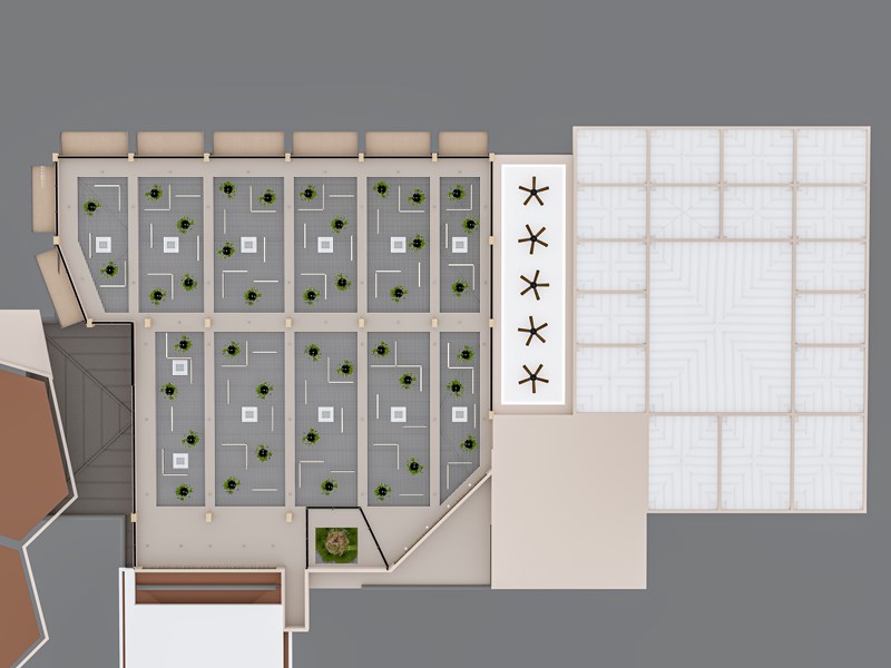 Marvida Club Palmeras Pascha-F&B 9